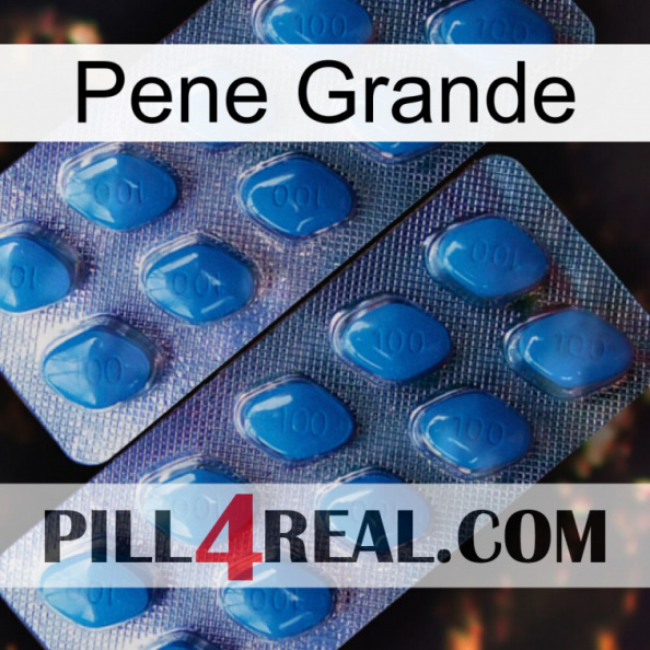 Big Penis viagra2.jpg